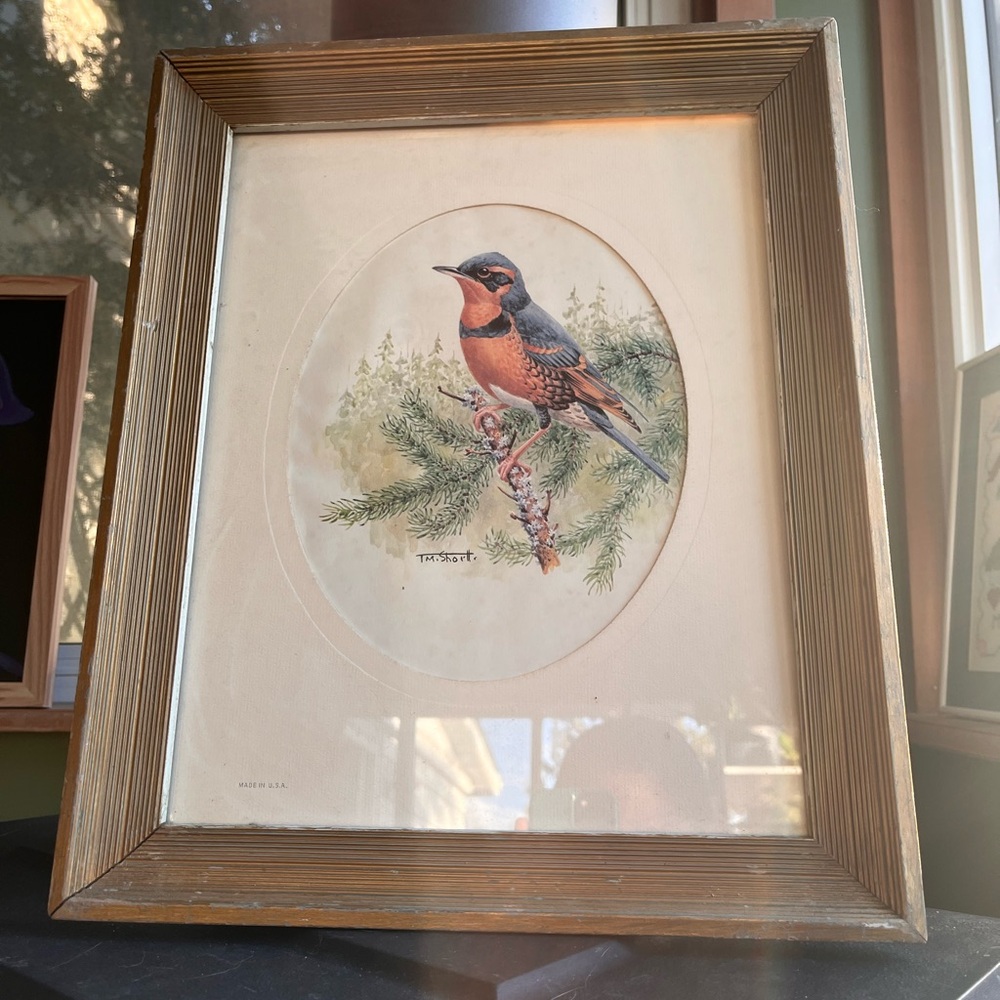 Framed Bird Watercolor Print - Orange & Blue Songbird